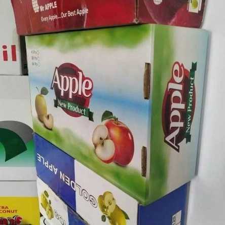 1703484500987.webp